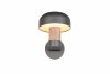 Nowoczesny kinkiet zewnętrzny szary kształt grzybka klasyczny minimalistyczny aluminiowy drewniany dekor FRASER IP54 262560135 Trio